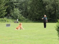 Bendix und das Boxband (75)